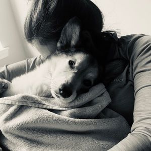 Great purchases!  Quick shipping!   Responsive seller!